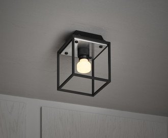 Caged Ceiling / Small / Brushed Steel