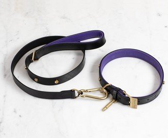 Dog Collar & Lead / Black / Purple / Brass