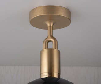 Forked Ceiling / Globe / Smoked / Medium / Brass