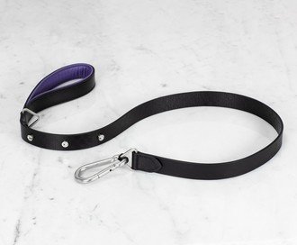 Dog Lead / Black / Purple / Steel