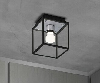 Caged Wet / Ceiling / Small / Steel