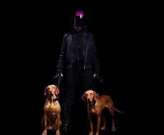 Dog Lead / Black / Purple / Brass