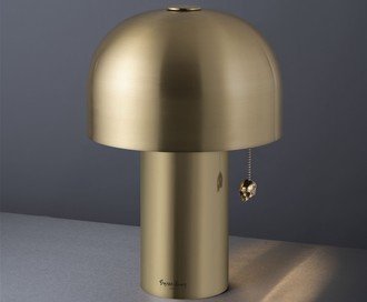 Skull Table Light / Travis Barker / Brass