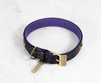 Dog Collar / Black / Purple / Brass