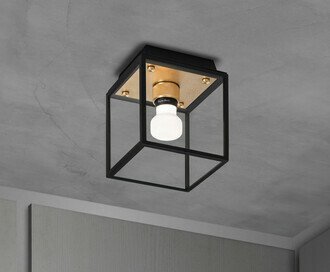 Caged Wet / Ceiling / Small / Brass