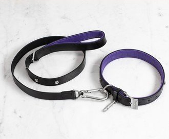 Dog Collar & Lead / Black / Purple / Steel