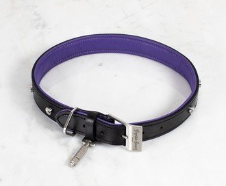 Dog Collar / Black / Purple / Steel